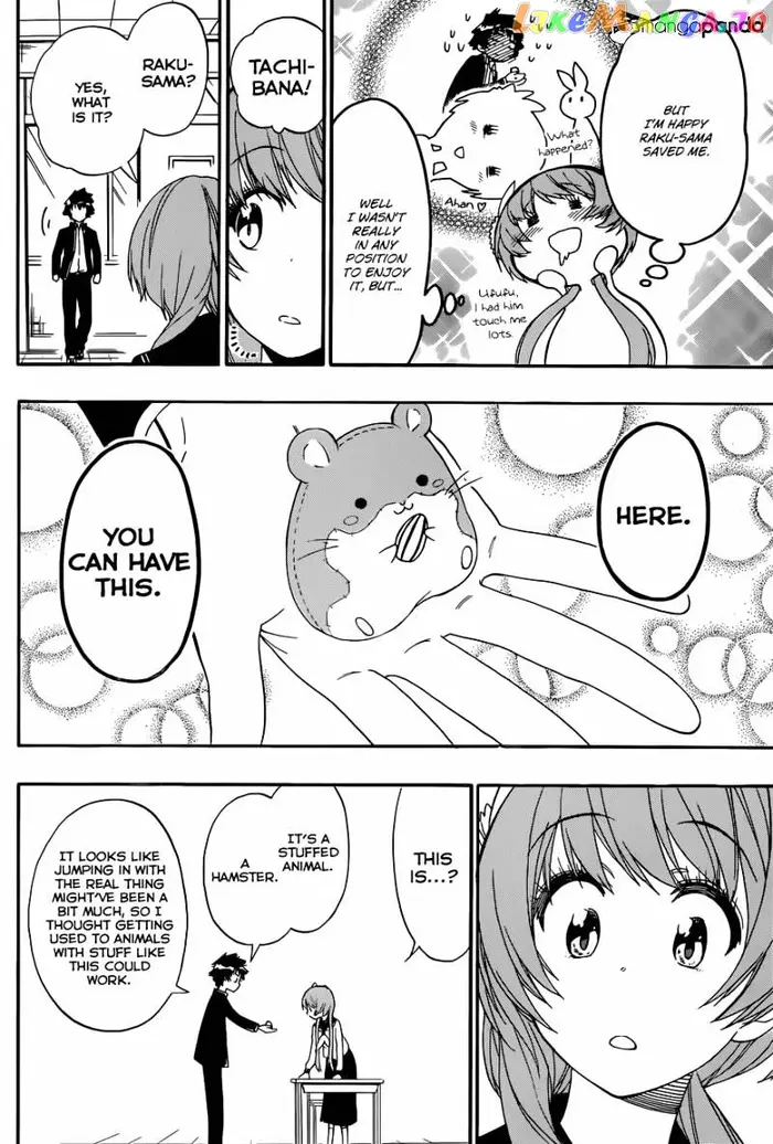 Nisekoi Chapter 142 image 19_optimized